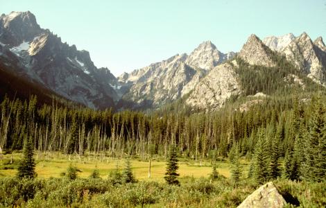 d stuart swamp panorama