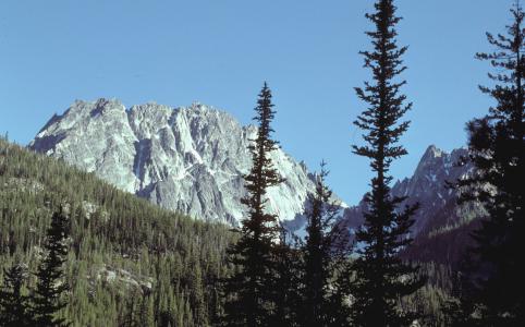 view from trail